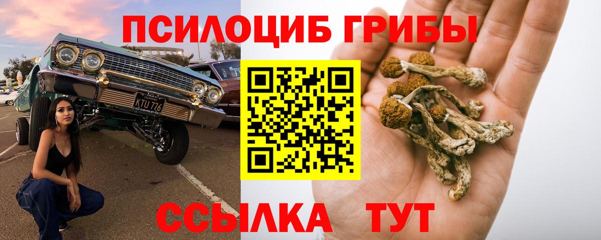 Галлюциногенные грибы мицелий Дзержинский